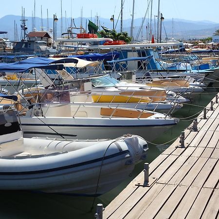 Adamou Gardens Lejlighed Paphos Eksteriør billede